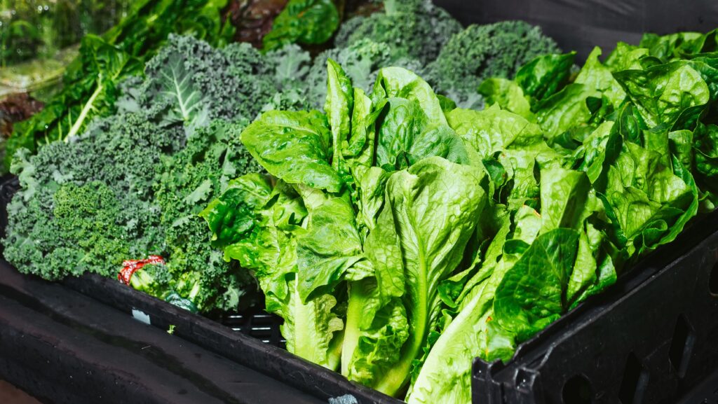 Vitamina K2 (MK-7): El Vínculo Entre tus Huesos y tus Arterias Vegetales de hoja verde, fuente natural de vitamina K